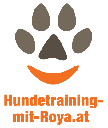 Hundetraining mit Roya